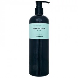 Шампунь для волос АЮРВЕДА Ayurvedic Scalp Solution Black Cumin Shampoo, 480 мл